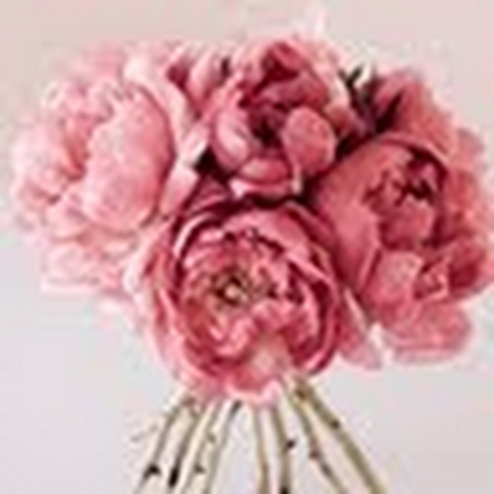 Meet your Posher, Habibah